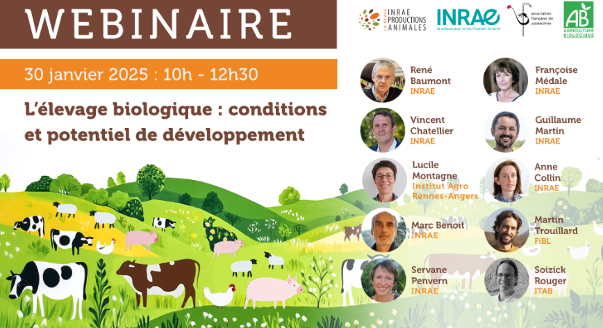 Webinaire AFZ élevage AB