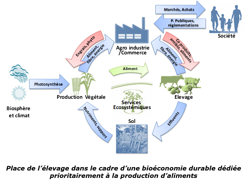 bioéconomie